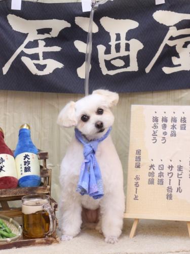 20240622うみちゃん